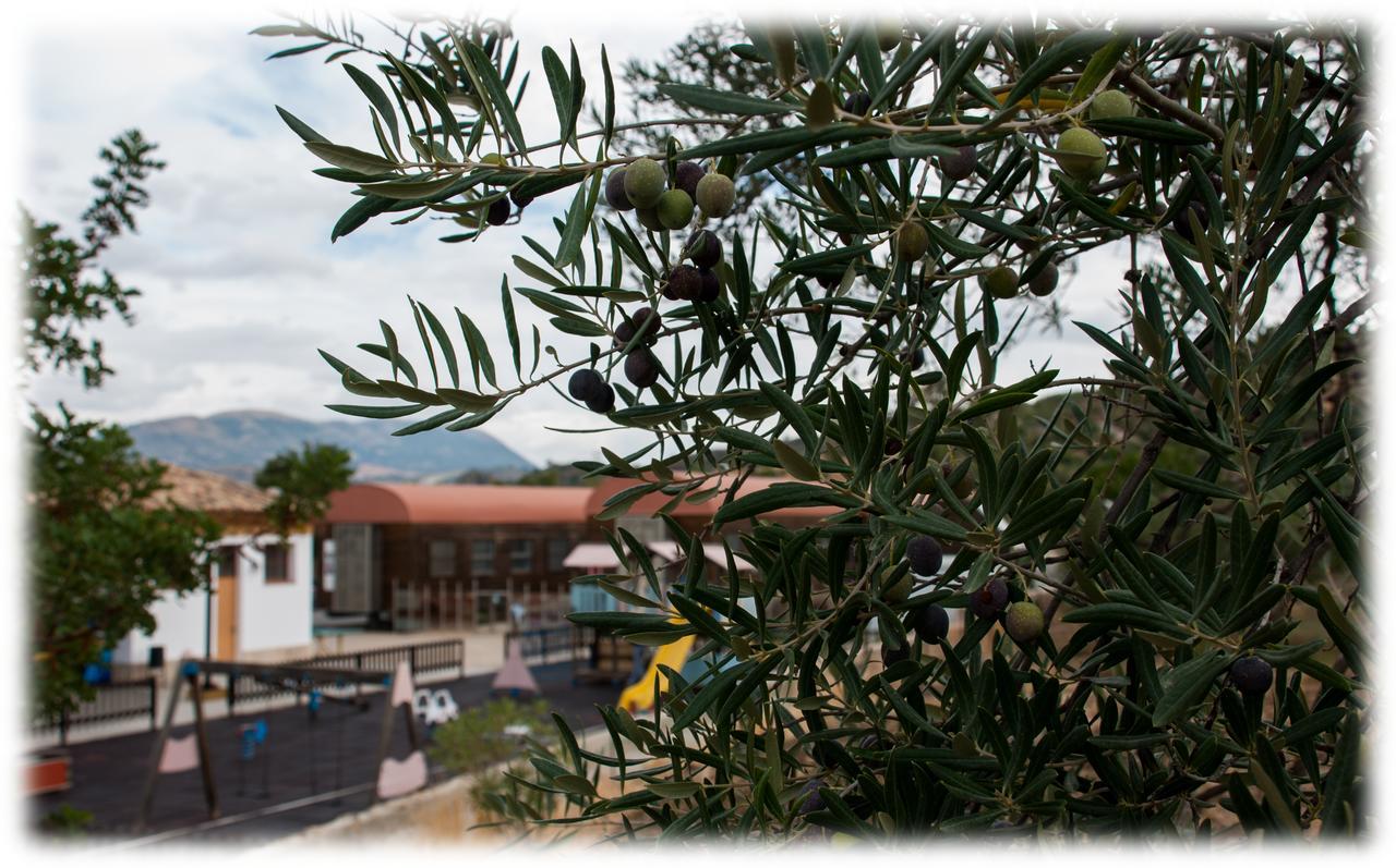 Hostal- Restaurante Estacion Via Verde Olvera Eksteriør bilde
